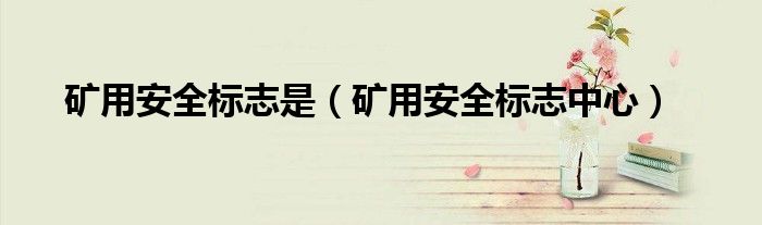 矿用安全标志是（矿用安全标志中心）