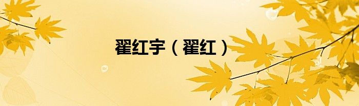 翟红宇（翟红）