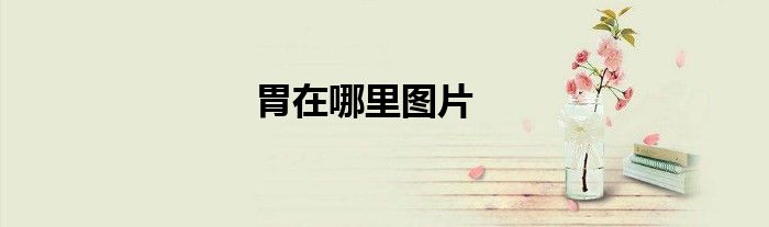 胃在哪里图片
