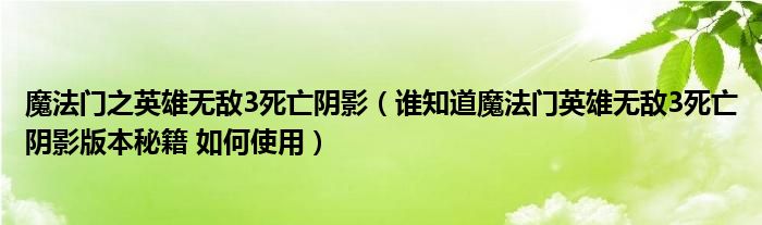 魔法门之英雄无敌3死亡阴影（谁知道魔法门英雄无敌3死亡阴影版本秘籍 如何使用）
