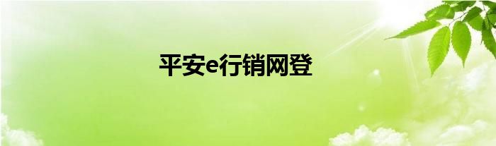 平安e行销网登