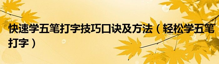 快速学五笔打字技巧口诀及方法（轻松学五笔打字）