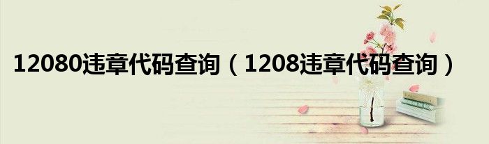 12080违章代码查询（1208违章代码查询）