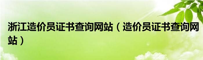 浙江造价员证书查询网站（造价员证书查询网站）