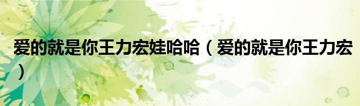 爱的就是你王力宏娃哈哈（爱的就是你王力宏）