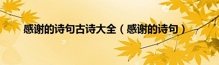 感谢的诗句古诗大全（感谢的诗句）
