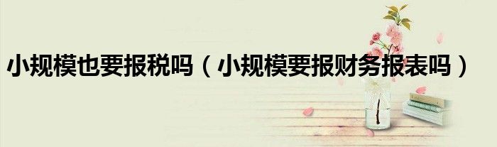 小规模也要报税吗（小规模要报财务报表吗）
