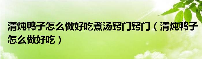 清炖鸭子怎么做好吃煮汤窍门窍门（清炖鸭子怎么做好吃）
