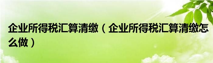 企业所得税汇算清缴（企业所得税汇算清缴怎么做）