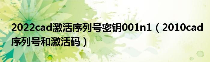 2022cad激活序列号密钥001n1（2010cad序列号和激活码）