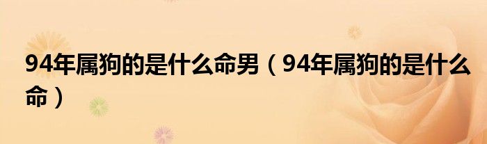 94年属狗的是什么命男（94年属狗的是什么命）