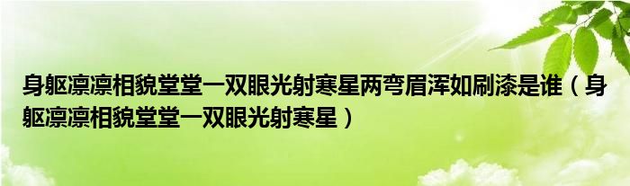 身躯凛凛相貌堂堂一双眼光射寒星两弯眉浑如刷漆是谁（身躯凛凛相貌堂堂一双眼光射寒星）