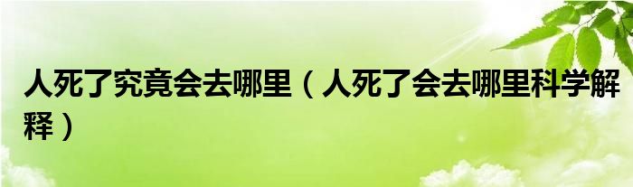 人死了究竟会去哪里（人死了会去哪里科学解释）