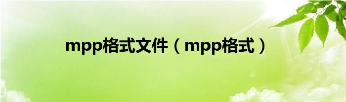 mpp格式文件（mpp格式）