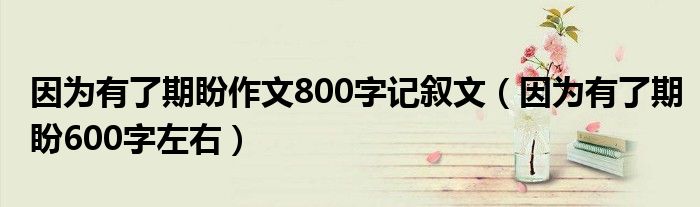 因为有了期盼作文800字记叙文（因为有了期盼600字左右）