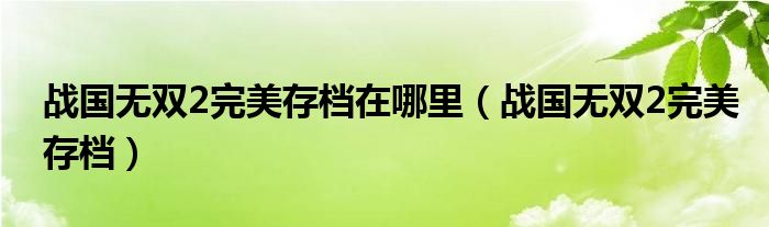战国无双2完美存档在哪里（战国无双2完美存档）