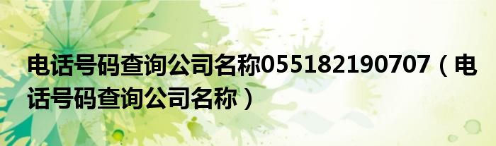 电话号码查询公司名称055182190707（电话号码查询公司名称）