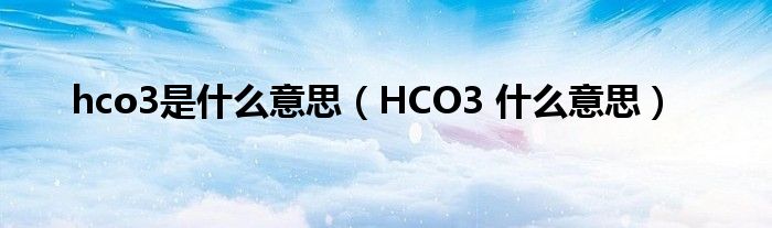 hco3是什么意思（HCO3 什么意思）
