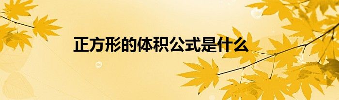 正方形的体积公式是什么