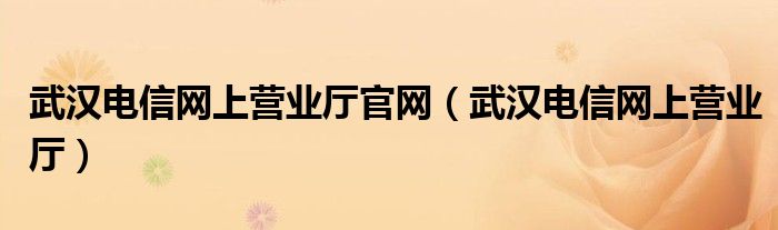 武汉电信网上营业厅官网（武汉电信网上营业厅）