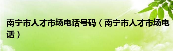 南宁市人才市场电话号码（南宁市人才市场电话）