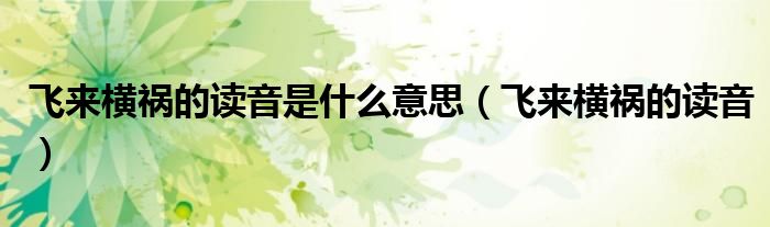 飞来横祸的读音是什么意思（飞来横祸的读音）