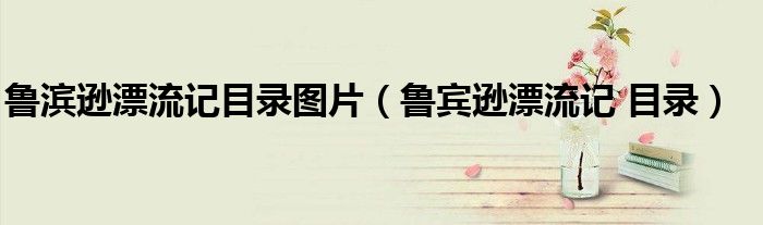 鲁滨逊漂流记目录图片（鲁宾逊漂流记 目录）