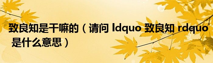 致良知是干嘛的（请问 ldquo 致良知 rdquo 是什么意思）