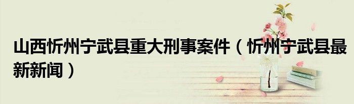 山西忻州宁武县重大刑事案件（忻州宁武县最新新闻）