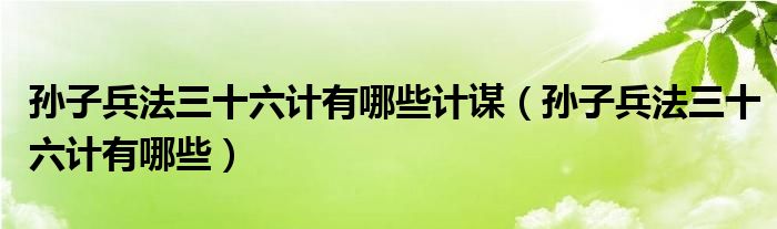 孙子兵法三十六计有哪些计谋（孙子兵法三十六计有哪些）