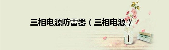 三相电源防雷器（三相电源）