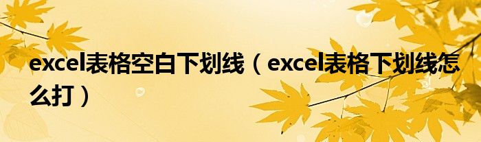 excel表格空白下划线（excel表格下划线怎么打）