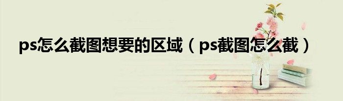 ps怎么截图想要的区域（ps截图怎么截）