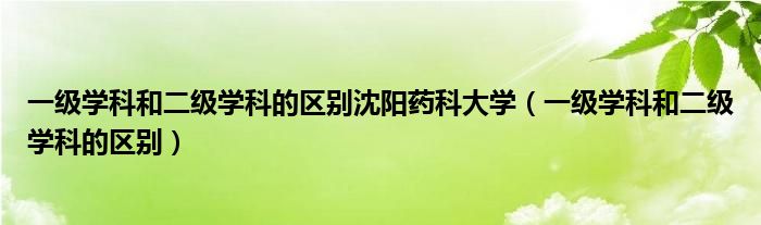 一级学科和二级学科的区别沈阳药科大学（一级学科和二级学科的区别）