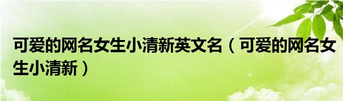 可爱的网名女生小清新英文名（可爱的网名女生小清新）