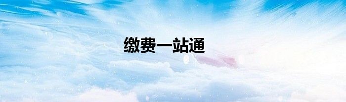 缴费一站通