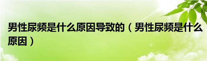 男性尿频是什么原因导致的（男性尿频是什么原因）