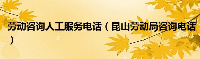 劳动咨询人工服务电话（昆山劳动局咨询电话）