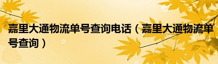 嘉里大通物流单号查询电话（嘉里大通物流单号查询）