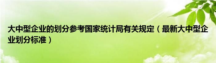 大中型企业的划分参考国家统计局有关规定（最新大中型企业划分标准）