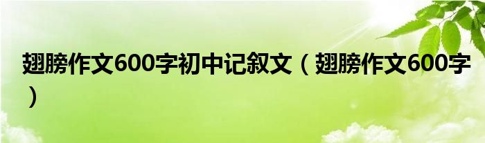 翅膀作文600字初中记叙文（翅膀作文600字）