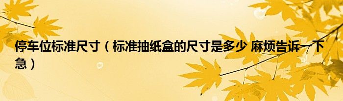 停车位标准尺寸（标准抽纸盒的尺寸是多少 麻烦告诉一下 急）