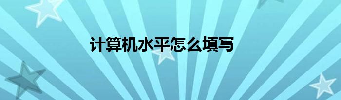 计算机水平怎么填写