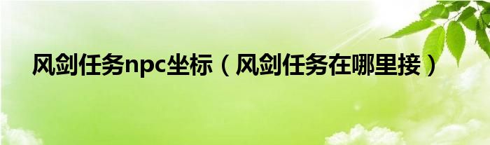 风剑任务npc坐标（风剑任务在哪里接）