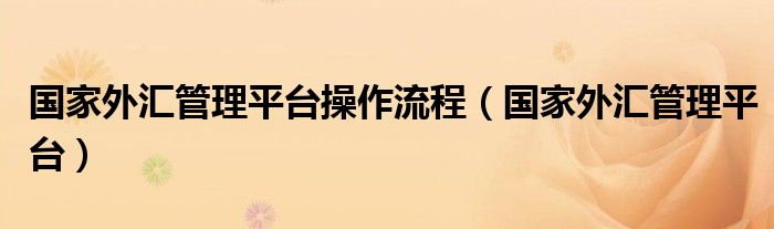 国家外汇管理平台操作流程（国家外汇管理平台）