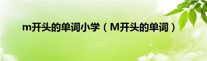 m开头的单词小学（M开头的单词）