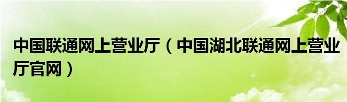 中国联通网上营业厅（中国湖北联通网上营业厅官网）