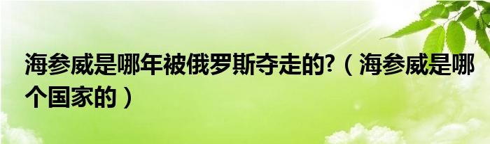 海参威是哪年被俄罗斯夺走的?（海参威是哪个国家的）