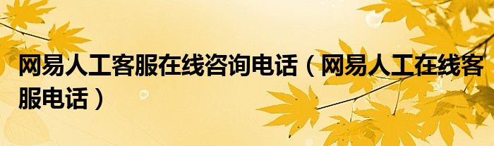 网易人工客服在线咨询电话（网易人工在线客服电话）