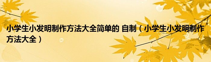 小学生小发明制作方法大全简单的 自制（小学生小发明制作方法大全）